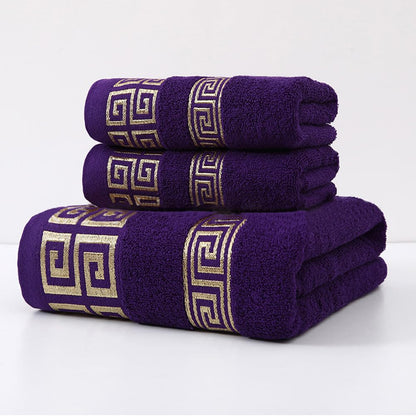 Highly Absorbent Embroidered Bath Towel Set of 3, 100% Cotton Bath Towels